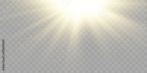 Radiant yellow sun rays with soft glowing edges and smooth gradient flow. vector

