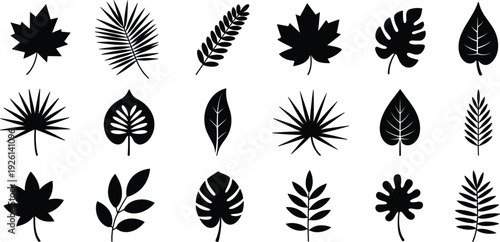 Black Silhouette Collection Of Assorted Tropical And Maple Leaves leaf