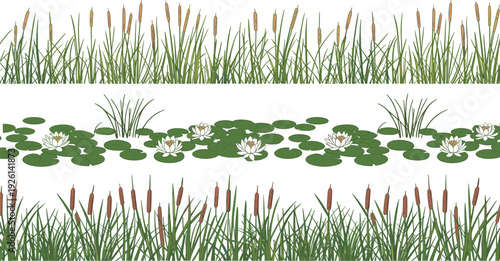 Wetland reeds cattails water lily plants collection, pond vegetation nature border set, botanical illustration concept design