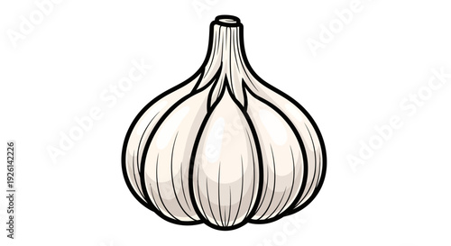 Drawing of a whole garlic bulb.
