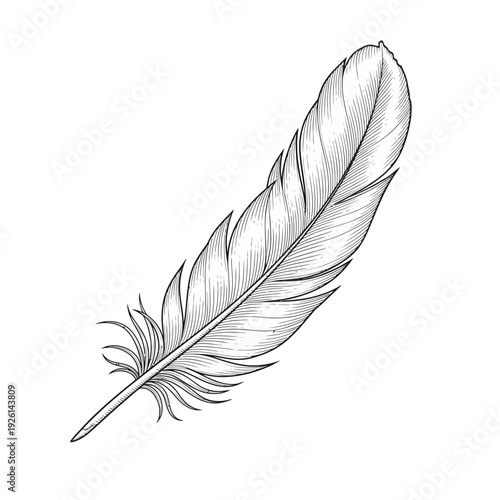 Coffee Splash Cup Illustration Vector – Hand Drawn Espresso Mug with Beans Line Art Design