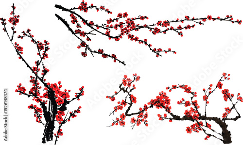 vector illustration of plum blossom flower branch in traditional style.