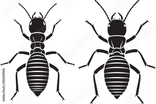 Two ants silhouette isolated on white background