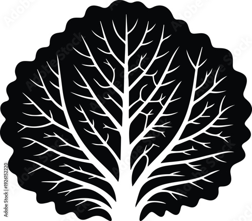 Minimalist black savoy cabbage leaf silhouette vector icon