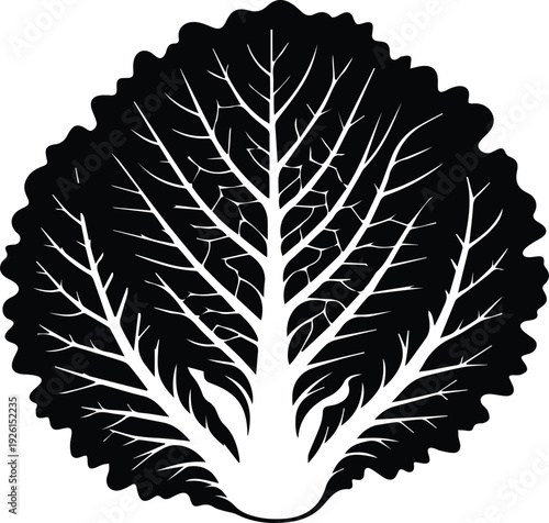 Minimalist black savoy cabbage leaf silhouette vector icon