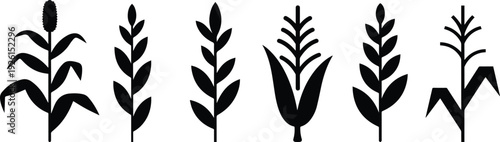 Set of Minimalist black small corn stalk silhouette vector icon