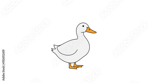 Simple illustration of a white duck with an orange beak standing calmly against a clean and plain white background.
