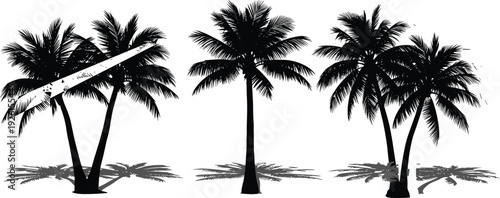 Black tropical palm tree silhouettes with realistic ground shadows isolated on white background for summer beach vacation and exotic travel designs.