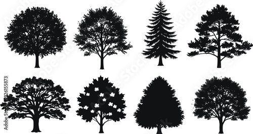 Collection of different black tree silhouettes including oak pine and maple isolated on white background for nature and landscape designs.
