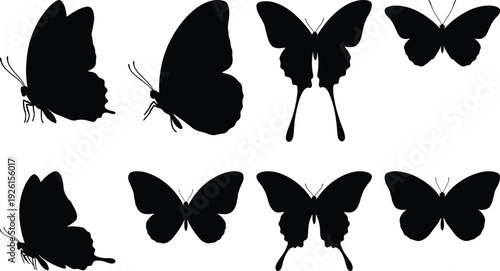 Graceful silhouettes of butterflies in various elegant poses against a stark background.