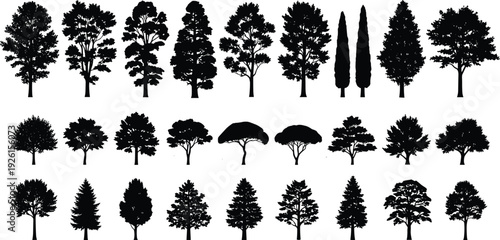 Large collection of various black tree silhouettes including pine oak and maple isolated on white background for nature and landscape.