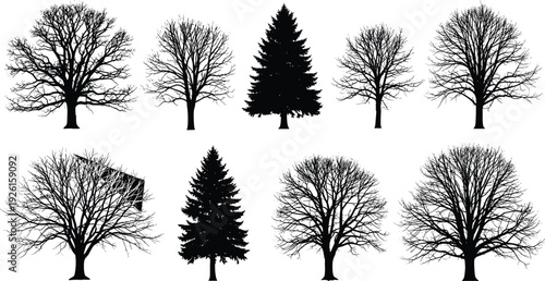 Set of Vector Silhouettes Featuring Diverse Tree Species Business Professionals Families Gymnasts Athletic Poses Domestic Cats Butterflies and Male Anatomy