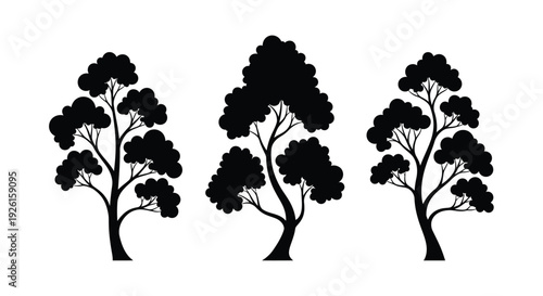 Three coniferous trees in a stark black silhouette