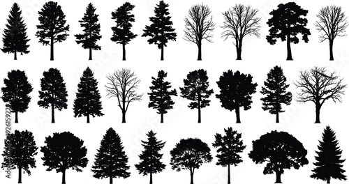 Set of Vector Silhouettes Featuring Diverse Tree Species Business Professionals Families Gymnasts Athletic Poses Domestic Cats Butterflies and Male Anatomy