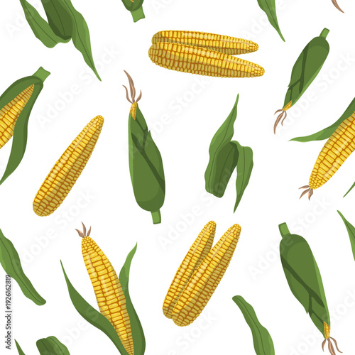 Vector seamless pattern of corn with leaves. Botanical color illustration for wallpaper and packaging.