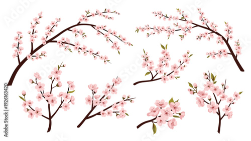 Beautiful collection of cherry blossom branches with delicate pink flowers and green leaves, symbolizing spring and renewal.