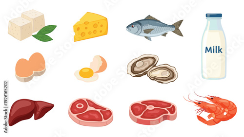 Diverse collection of protein-rich foods, including tofu, cheese, fish, eggs, oysters, milk, liver, steak, and shrimp, for a balanced diet.