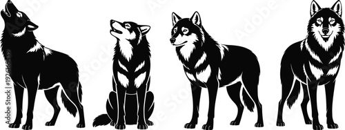 Black and White Wolf Vector Silhouette Set Featuring Howling Sitting and Standing Timber Wolf Icons for Wilderness Wildlife Nature and Animal Logo Design Elements