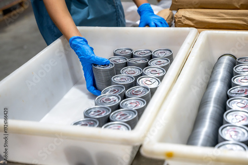 Factory worker arranging cans of processed seafood in canary seafood industry, getting ready for packaging and shipping