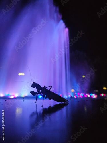 Praying mantis silhouette at night, abstract colorful background, magical insect wallpaper