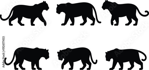 Black tiger silhouette set, for wild animal conservation, jungle safari, and powerful mascot icons