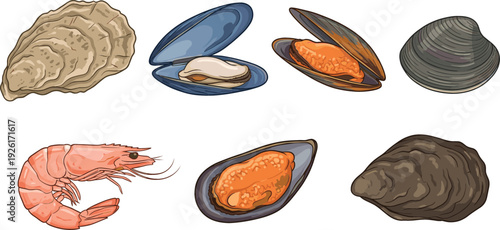 Hand Drawn Seafood Collection Vector Illustration Featuring Oyster Mussel Clam Shrimp and Shellfish Isolated on White Background