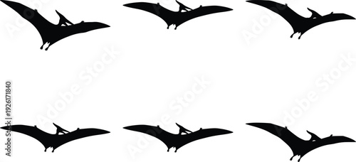 Collection of six black silhouette pterodactyls in flight, isolated on a white background, representing prehistoric aerial creatures.