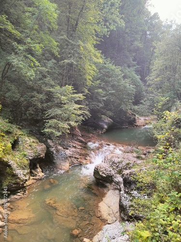 Picturesque mountain river in a misty forest, wild nature background, serene canyon wallpaper