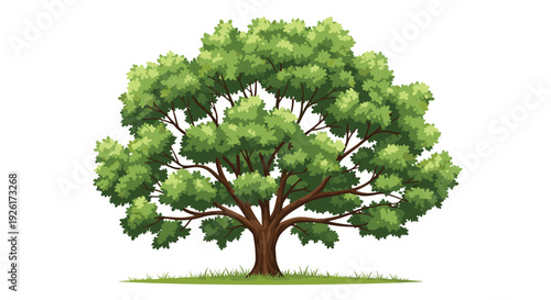 A detailed digital illustration of a robust, wide-canopied green tree with a strong trunk, standing firmly on a strip of grass, isolated on a white background.