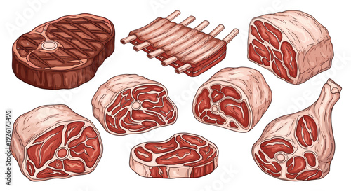 A detailed vector illustration showcasing a variety of raw and cooked meat cuts, such as grilled steak, ribs, and various roasts.