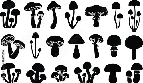 Collection of stylized mushroom silhouettes featuring diverse fungi species, botanical illustration set for nature, education, design, and classification