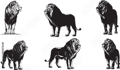 Vintage lion illustration set, hand drawn majestic male lions in 6 poses, black and white wildlife vector sketches for logo design and branding
