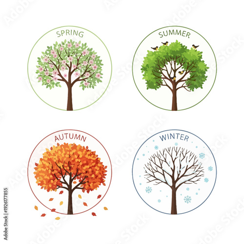 Four Seasons Tree Cycle: Spring, Summer, Autumn, Winter. Nature's Year.