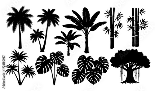 Black and white tropical plant silhouette vector set with palm banana bamboo monstera banyan for design isolated on white