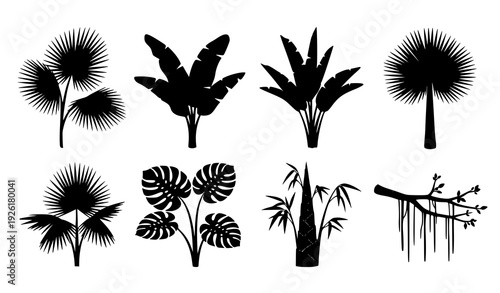 Minimal black tropical plant silhouette vector collection with palm banana bamboo monstera banyan isolated on white