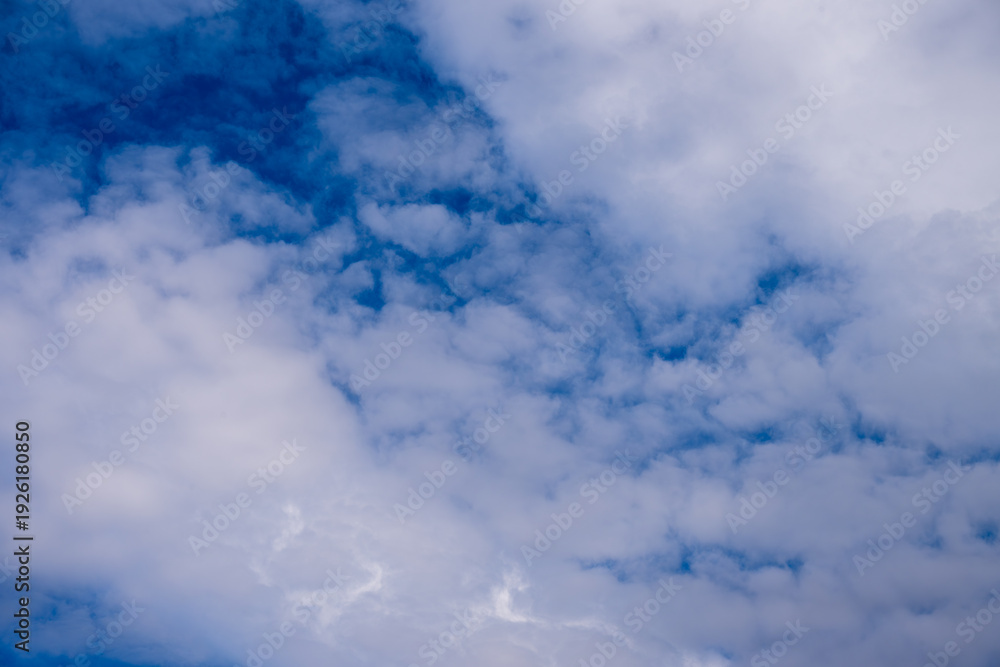 Fototapeta premium a vibrant blue sky filled with a dense pattern of soft, puffy white cumulus clouds, creating a textured and bright natural atmosphere.