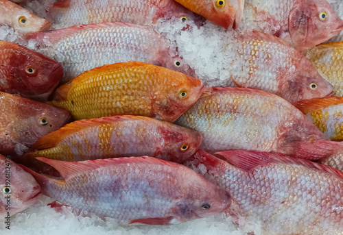 Red tilapia are kept on ice to maintain their freshness for sale in supermarkets.