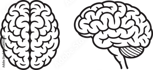 Brain anatomy human brain medical line black and white
