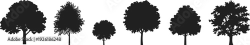 Set of black tree silhouettes isolated on white background, collection of various deciduous forest plant icons for landscape design, nature graphics, and ecological vector symbols.