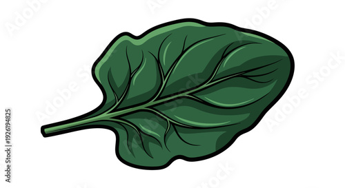 Green leaf illustration with veins.