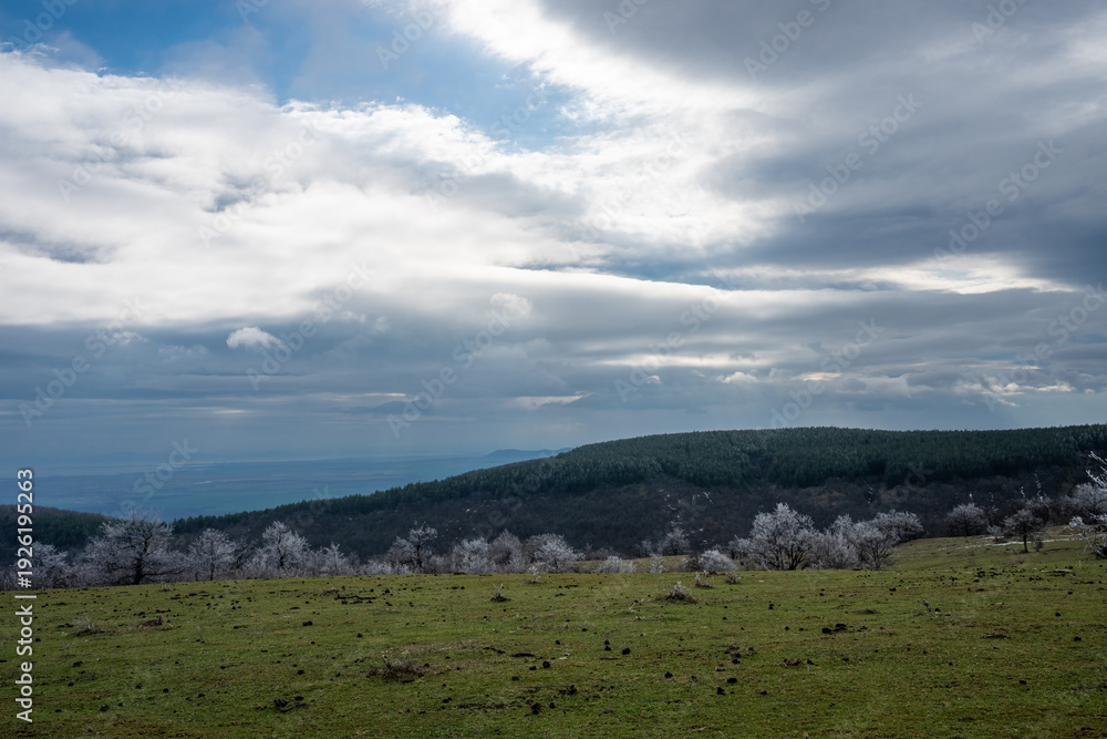Fototapeta premium a vast green highland meadow under a heavy, overcast sky, with a line of frost-covered trees in the midground and a dense pine forest stretching across the horizon.