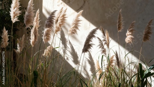 Field of tall grass with a wall in the background. The grass is dry and brown, and the sun is shining on it, creating a warm and peaceful atmosphere