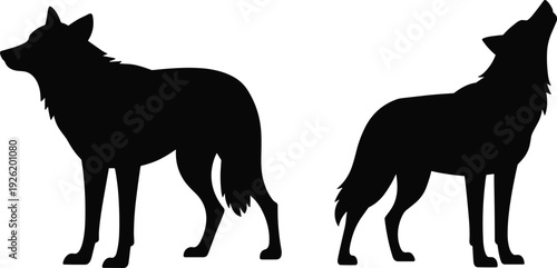 Wolf silhouette collection with standing wolf and howling wolf profiles isolated on white background for wildlife, wilderness and predator design
