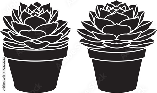 Two simple black and white vector illustrations of succulents in pots, perfect for graphic design and nature themes.