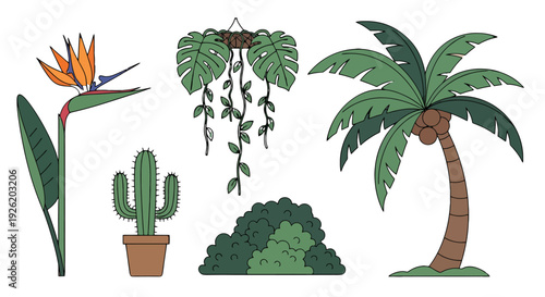 Vibrant Flat Design Tropical and Desert Plants Collection with Bold Outlines.