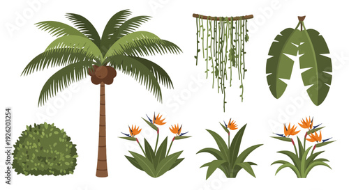 Vibrant Tropical Jungle Plants Collection with Palm Tree Bird of Paradise Flowers and Lush Foliage.