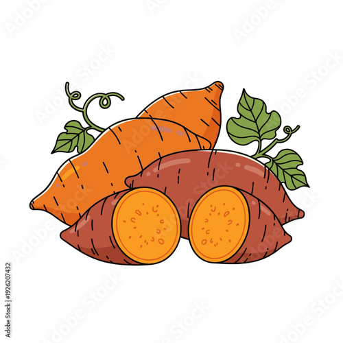 Whole and sliced sweet potatoes with orange flesh and green leaves on white. Isolated transparent background ( include cut-out PNG file )