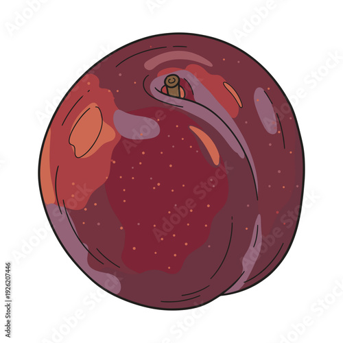 Single round purple plum with glossy skin and a short stem on white. Isolated transparent background ( include cut-out PNG file )