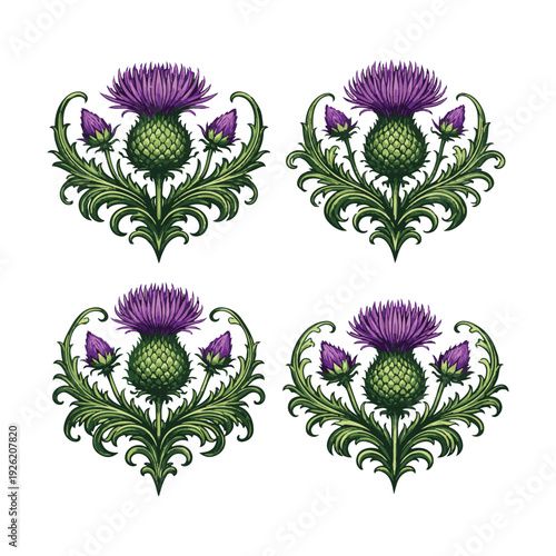 Scottish thistle icon set, 4 elements. Includes purple thistle, green leaves, floral designs. Created in vector style with green and purple palette.