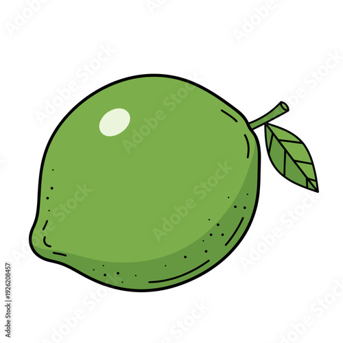 Green lime fruit with a small leaf is an isolated transparent background cut-out PNG file